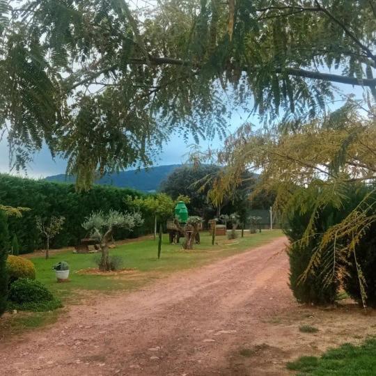 Finca Los Pajaros Cerca De Puy Du Fou Toledo Navahermosa  Eksteriør bilde